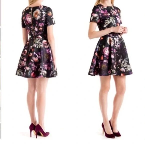 Ted Baker Tamary Shadow Floral Skater Dress Size 1= US 4 - Picture 1 of 13